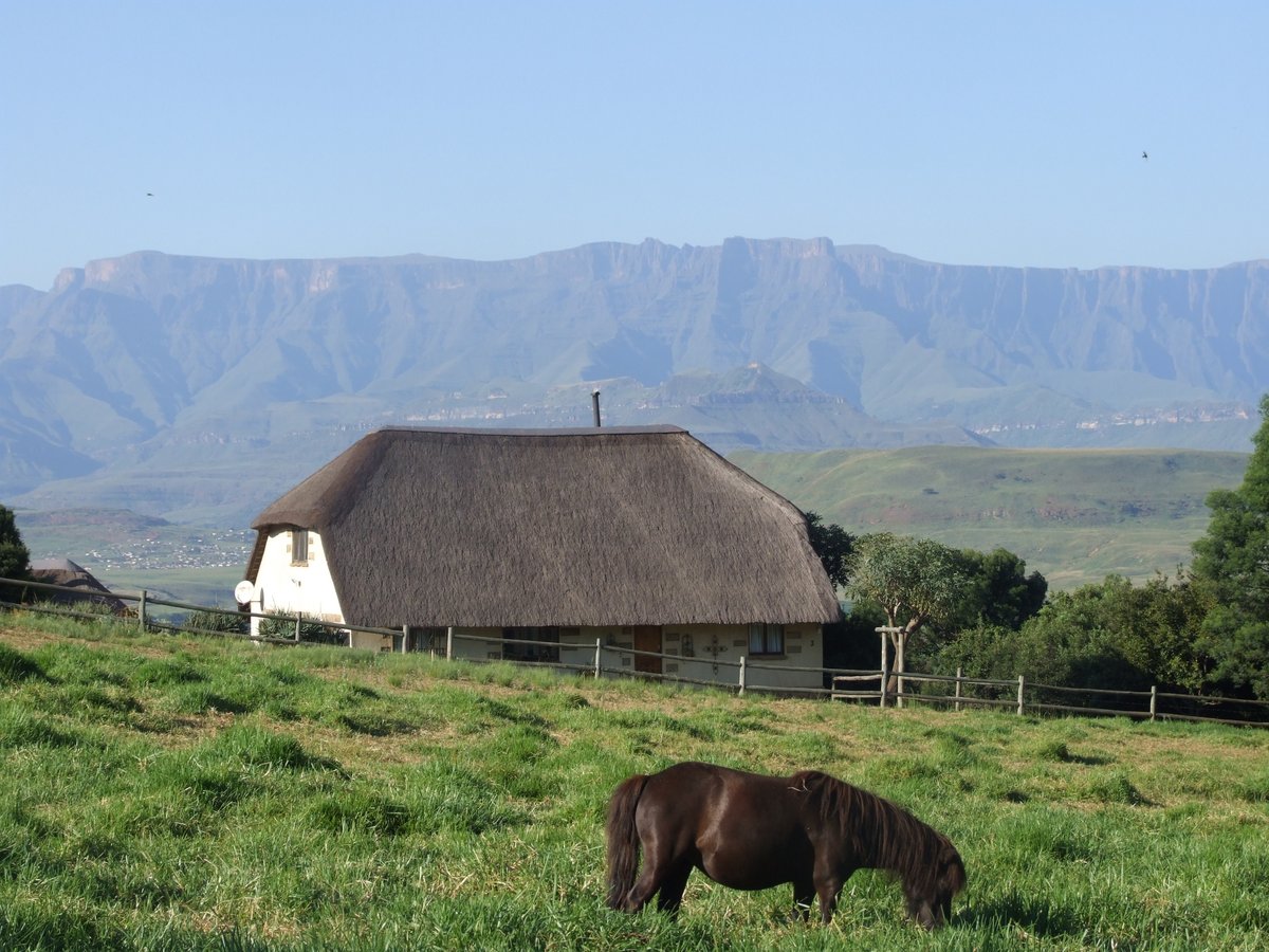 SafariKZNMark's tweet image. I love spending time here. Are you ready to breath in clean #mountainair &amp;amp; take in the huge scenic views. Relax by a pool or go #Hiking here in the #drakensberg a #unescoworldheritagesite Give some #thursdaythoughts to the #drakensbergmountains