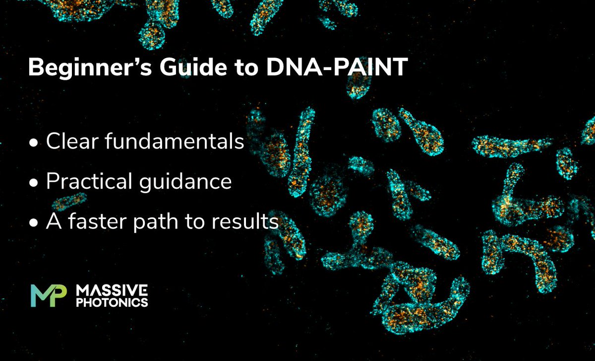 massphoton's tweet image. Want to take your imaging to the nanoscale?
Check out our Beginner's guide for an easy start to DNA-PAINT super-resolution microscopy!
🔗massive-photonics.com/dna-paint-begi…

#DNAPAINT #SMLM #Microscopy #MassivePhotonics
