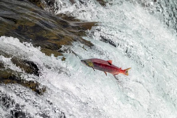 Mario Nawfal tweet media