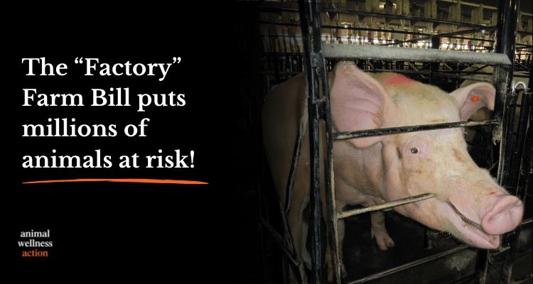 Wildlife Matters tweet media