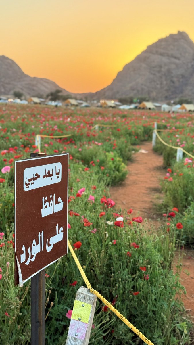 traad0934's tweet photo. محمية توران للديدحان https://t.co/2zFMuUZU9B