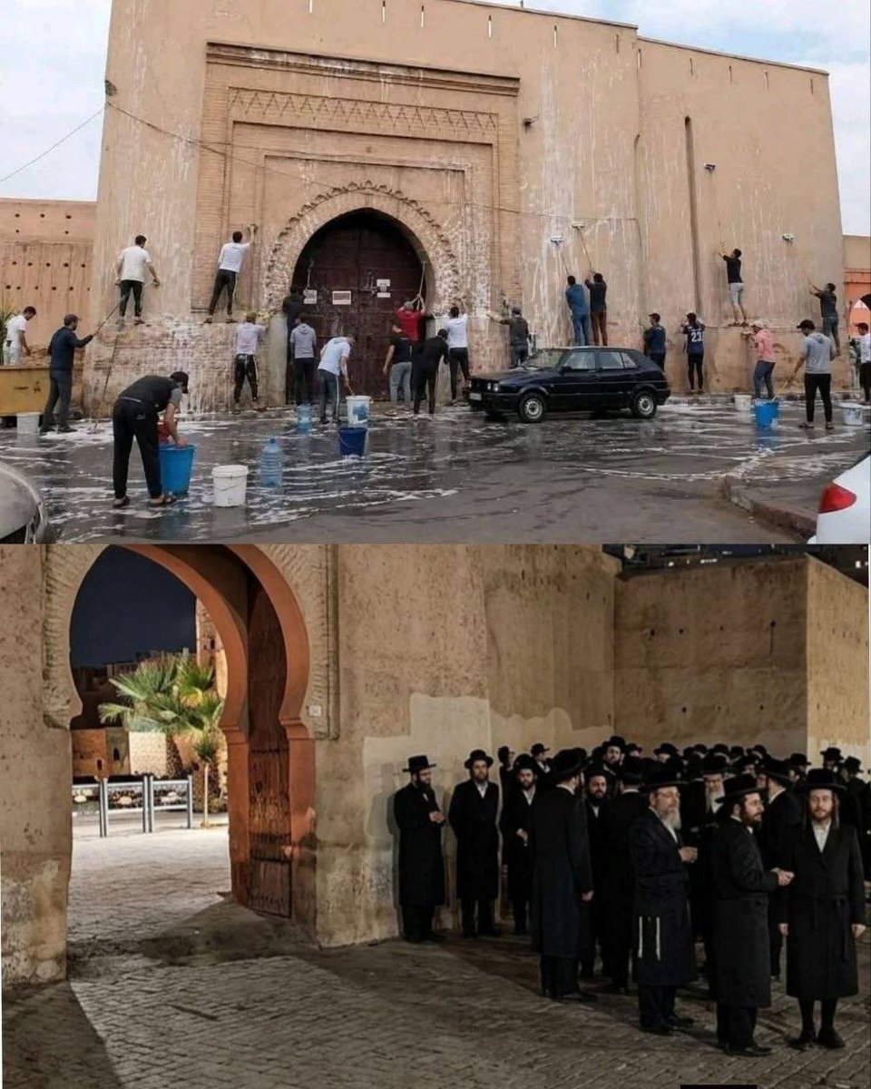 Shanna Messaoudi tweet media