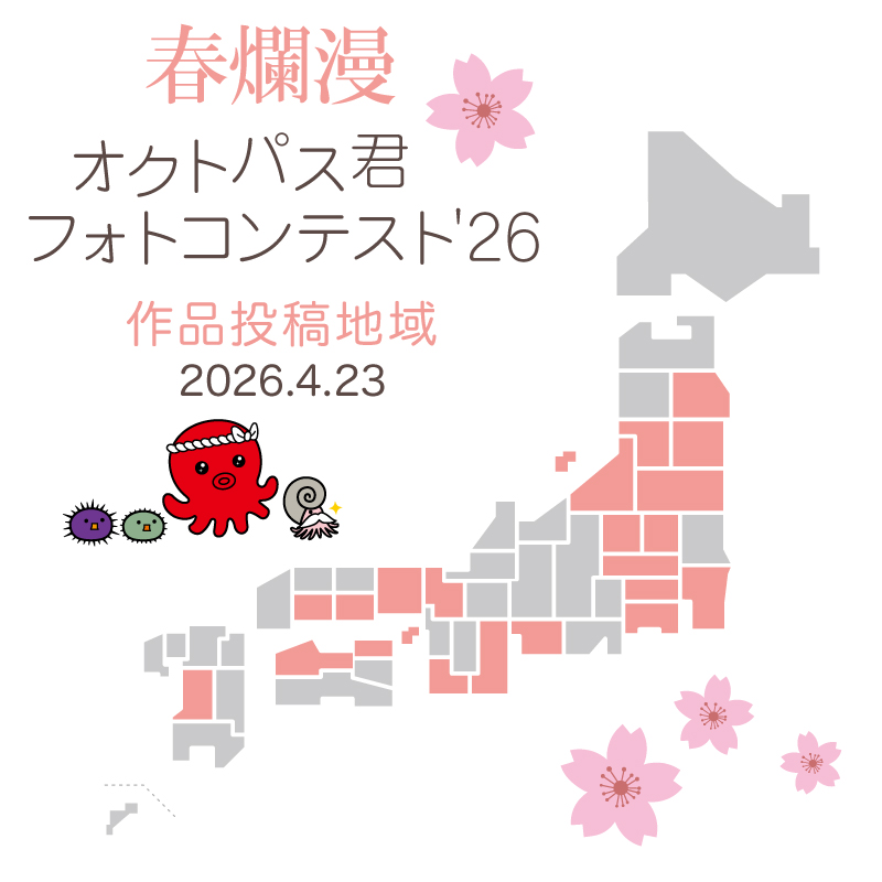 オクトパス君 tweet media