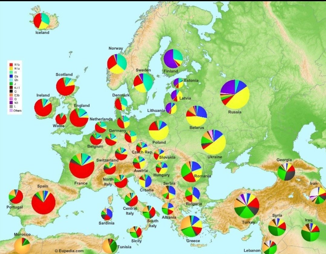 🇪🇦 EM 🇪🇦 tweet media