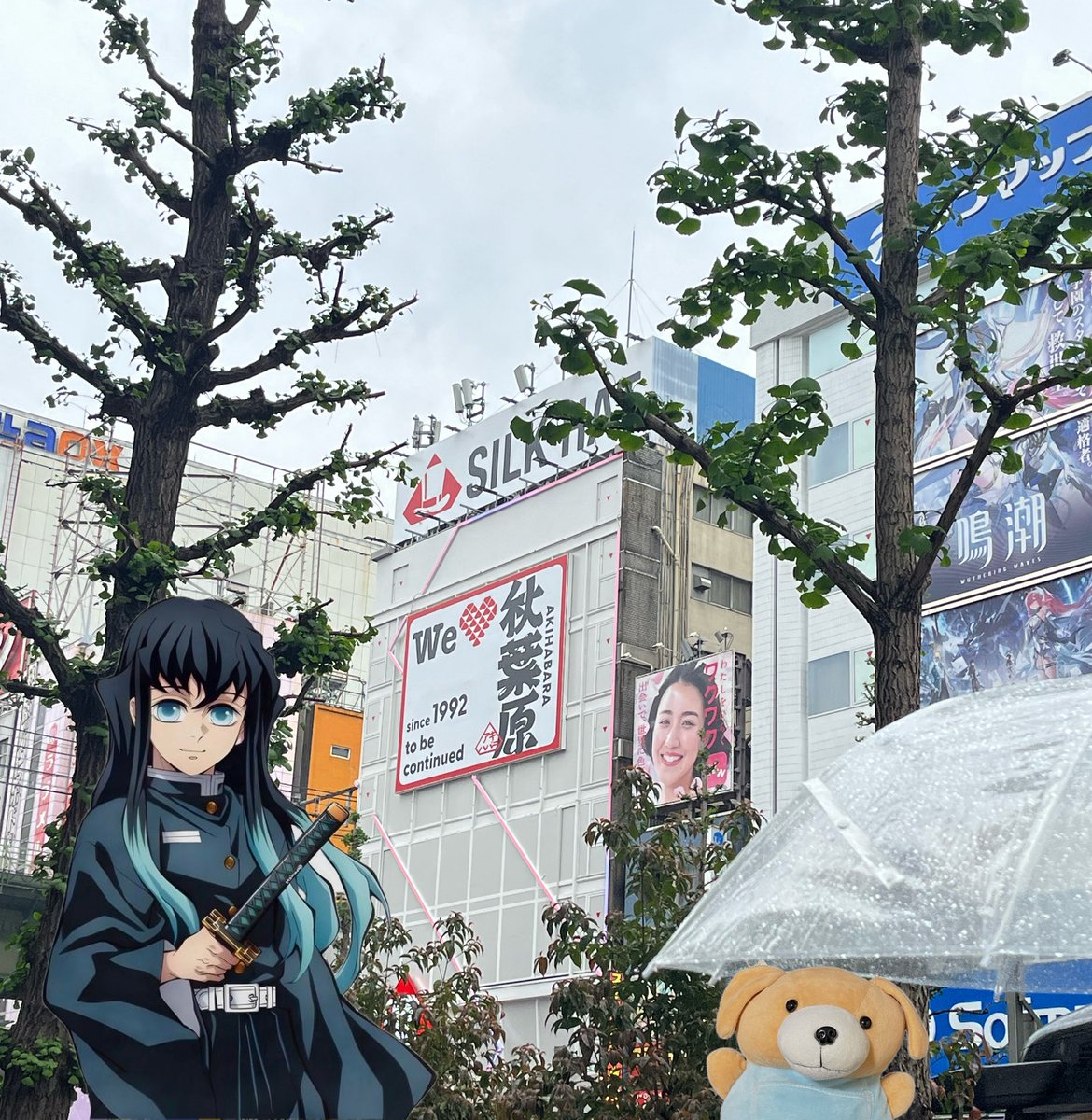 【暇柱】時々 無一文🌫️自滅の刃✨ tweet media