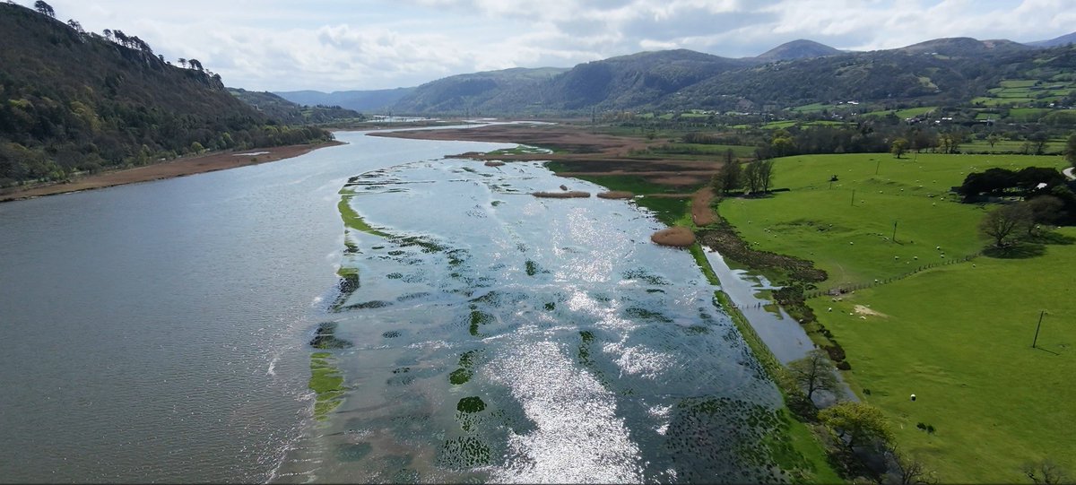 Conovium's tweet photo. Caerhun Drone Photos - Amazing Quality.
First the 'Roman dock' likely Roman but with later additions, in Victorian times a cottage stood on it. Second, south view, flooded river marsh caused by silting from a stream up against the dock - Afon Roe - my opinion. https://t.co/HJDnKOY5D9