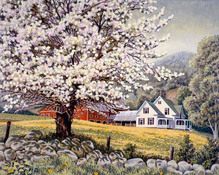 Francisco Ribeiro tweet media