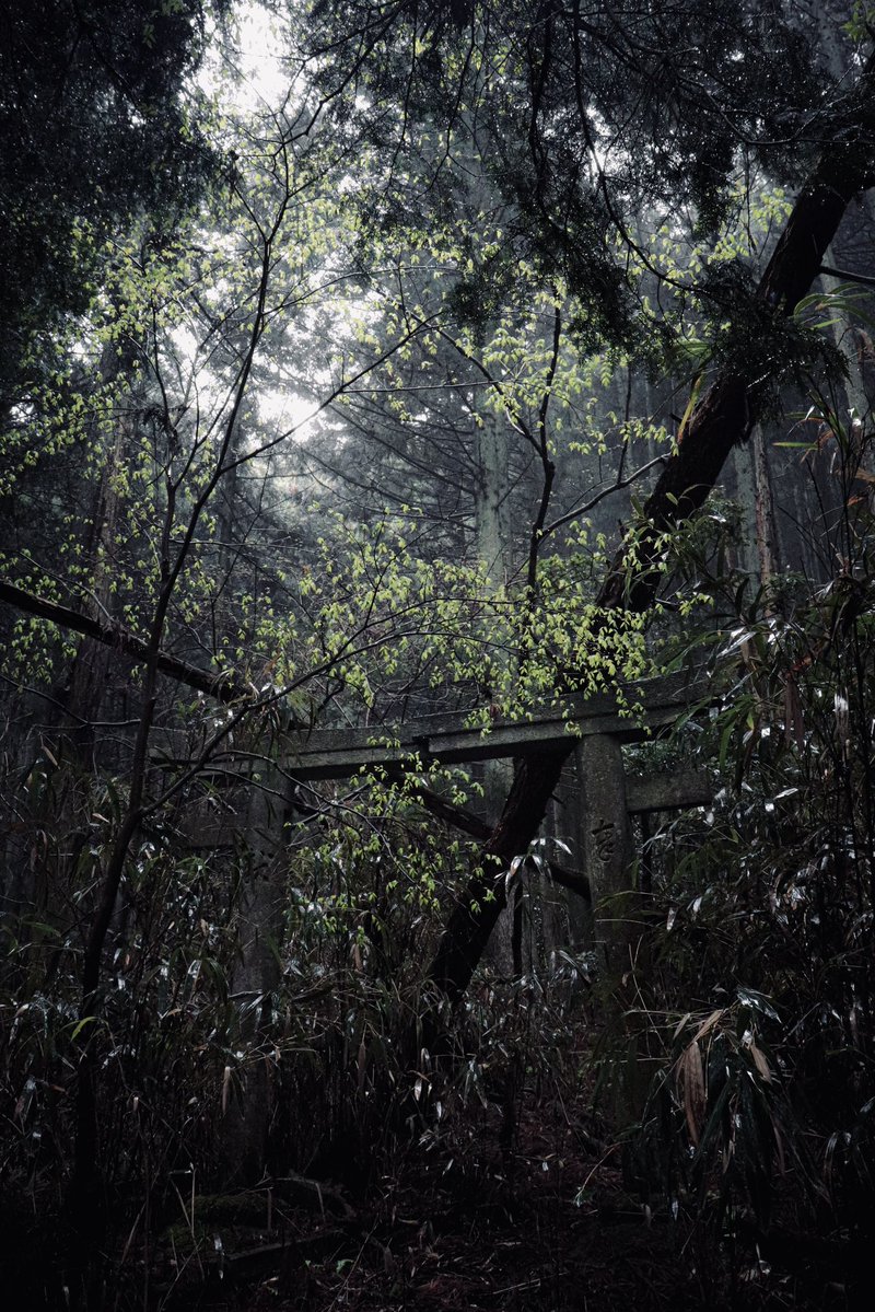 しどろ tweet media