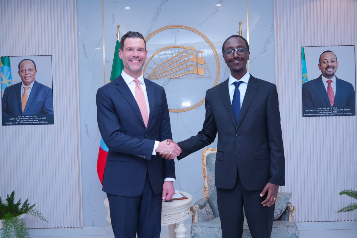 Sweden in Ethiopia & AU tweet media