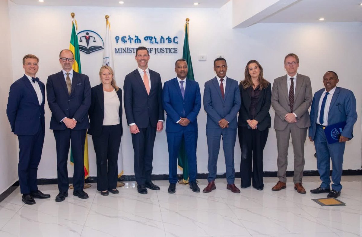 Sweden in Ethiopia & AU tweet media