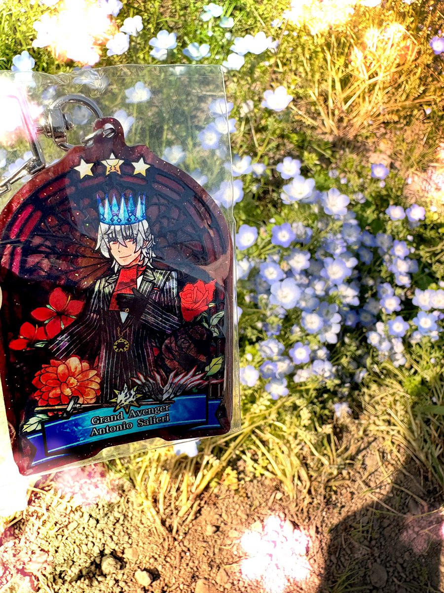 アマデウスとサリエリのグランドアクキーもネモフィラの青となかなか似合ってた