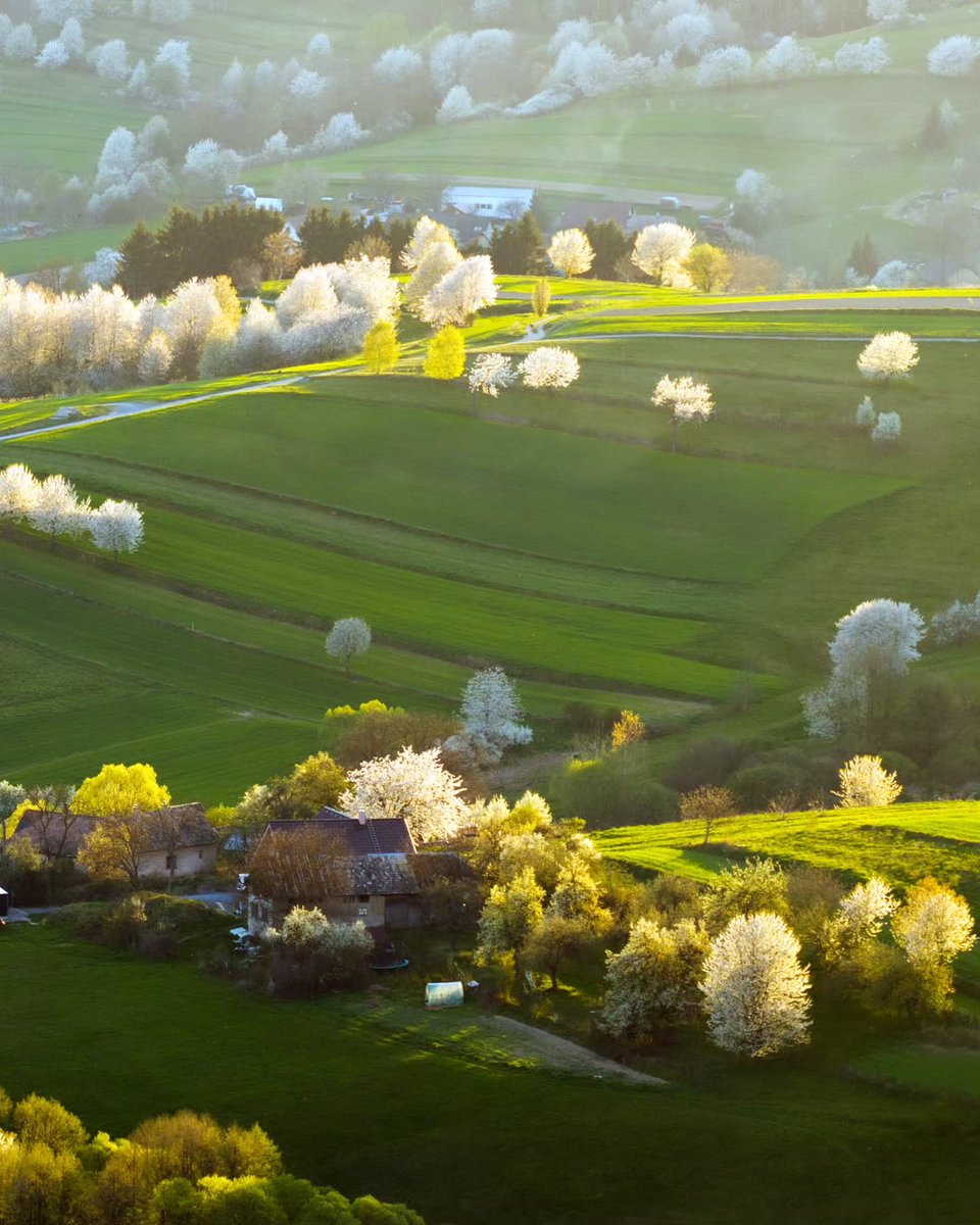 World Best tweet media