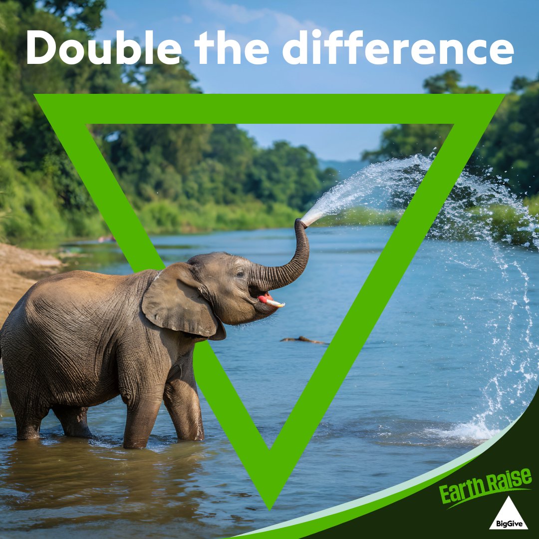BigGive's tweet image. Earth Raise #Day2 is here!

Hundreds of donations have already been doubled &amp;amp; there’s still plenty of match funding left, so today’s the perfect day to explore our amazing charity partners and see the difference you can make.

Find a cause at BigGive.org.

#Double