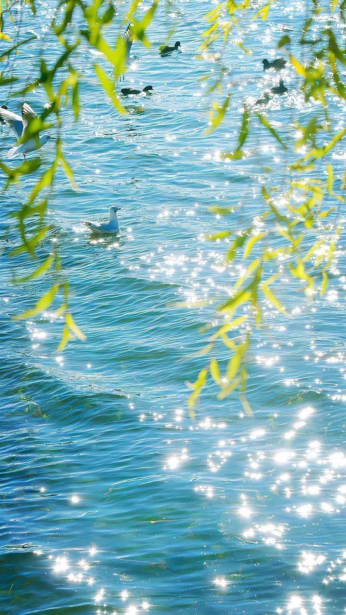 𝑎𝑒𝑠𝑡ℎ𝑒𝑡𝑖𝑐 𝑎𝑟𝑡 tweet media