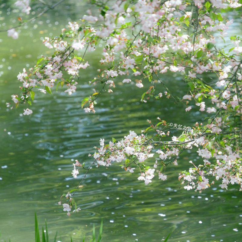 𝑎𝑒𝑠𝑡ℎ𝑒𝑡𝑖𝑐 𝑎𝑟𝑡 tweet media