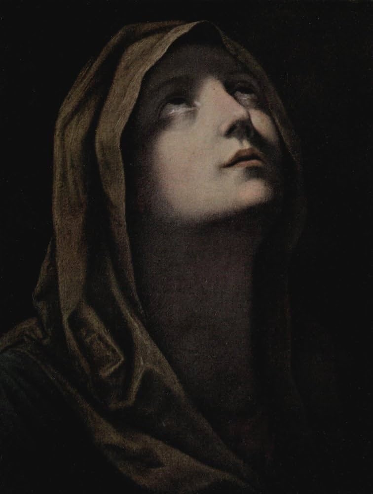 Ars Semper Artis tweet media