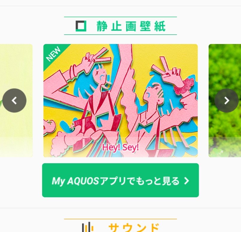 ミアコ/MIACO tweet media