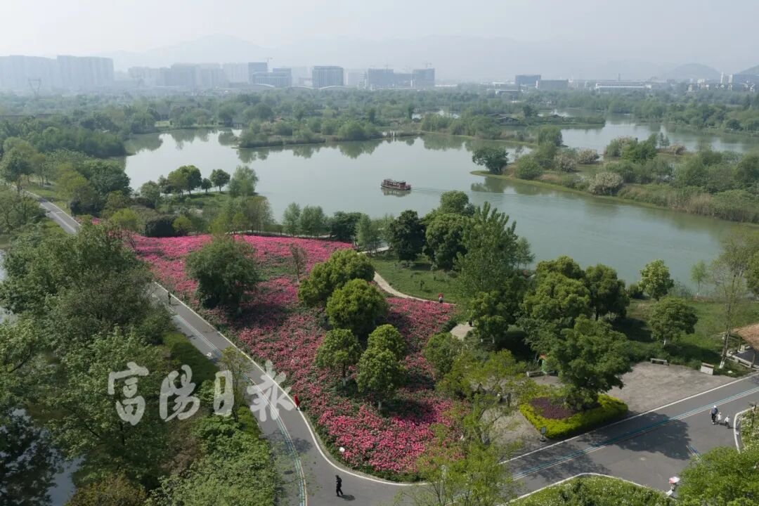 fuyangfeel's tweet image. Spring in #Fuyang is gentle and radiant🌸Peonies and delphiniums bloom into a sea of flowers, accompanied by the lake breeze, every step is a #view🍃👣Surrounded by the #flower sea, it feels like falling into a spring-exclusive gentle dream🌿💖#FuyangScenery