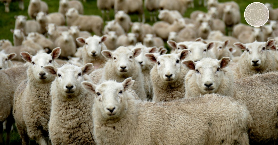 Kepler Trust Intelligence tweet media