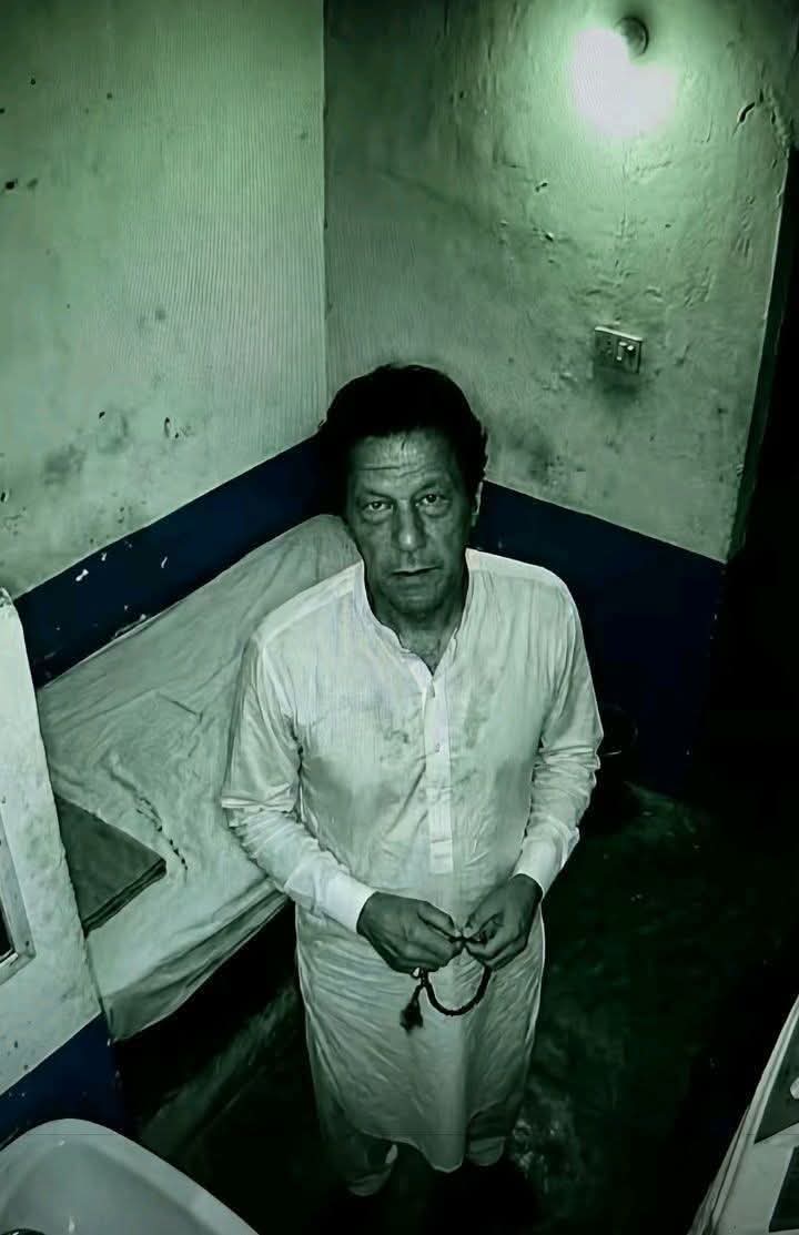 Shumaila Mubeen 🇵🇰 tweet media