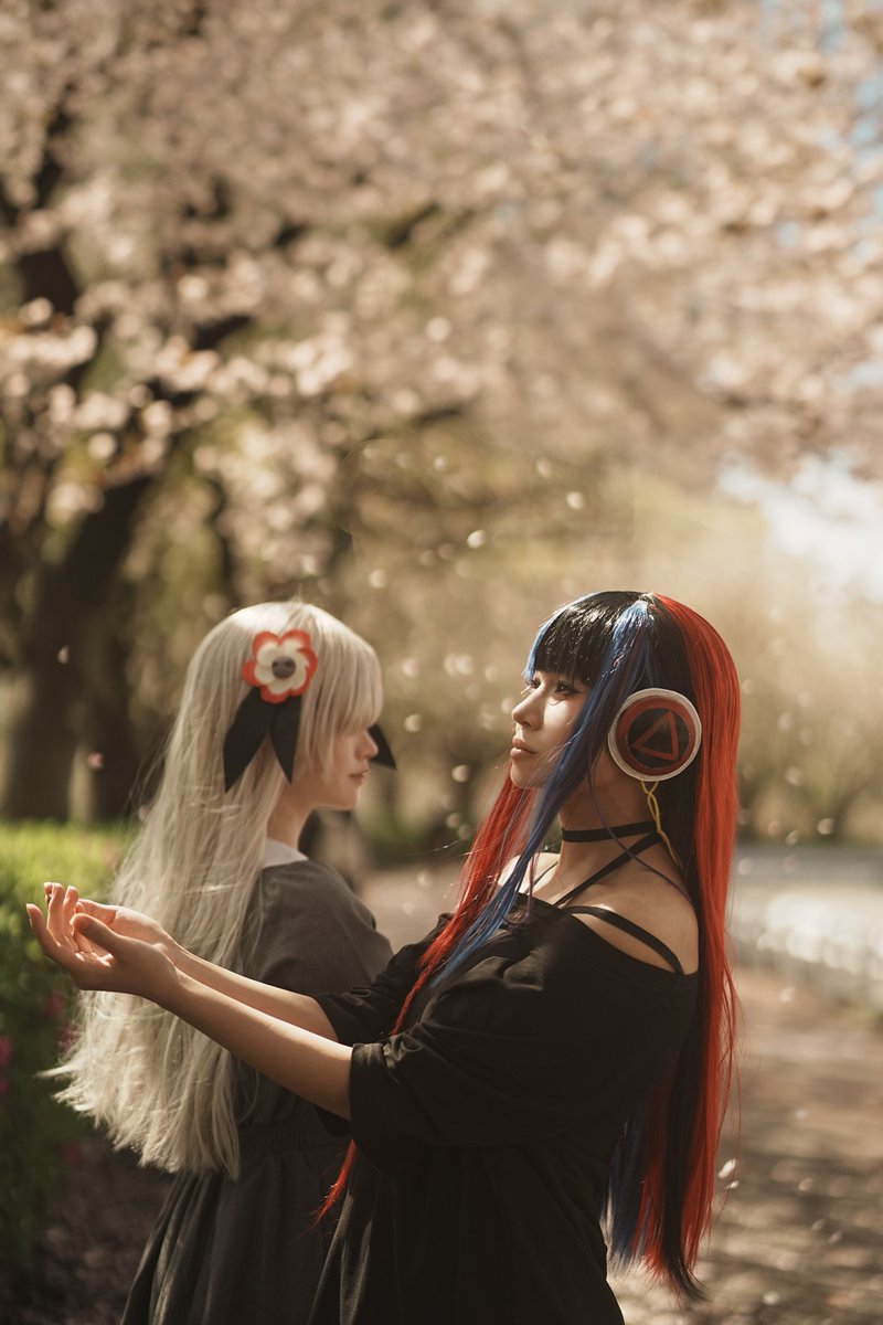 かりん▶︎ 現象 tweet media