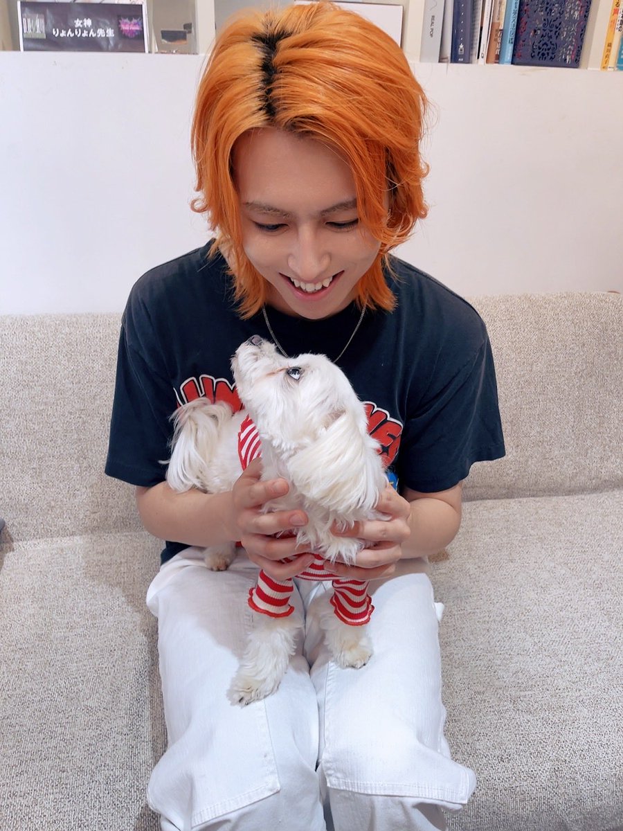 りょんりょん tweet media