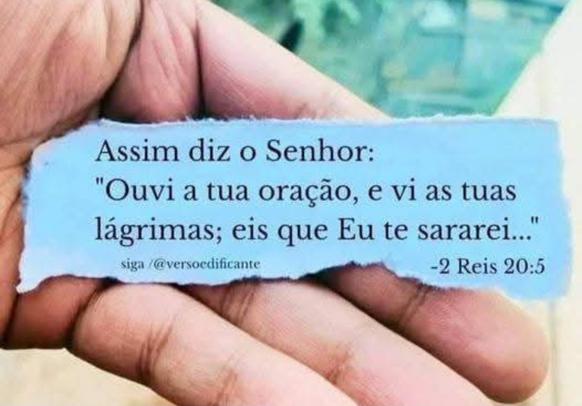 Freu Rodrigues tweet media