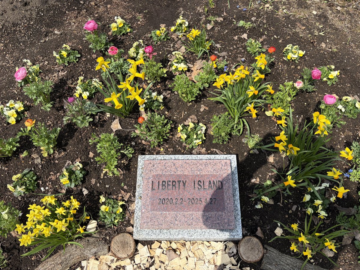 ロドクロ欲しい🎈🐴 tweet media