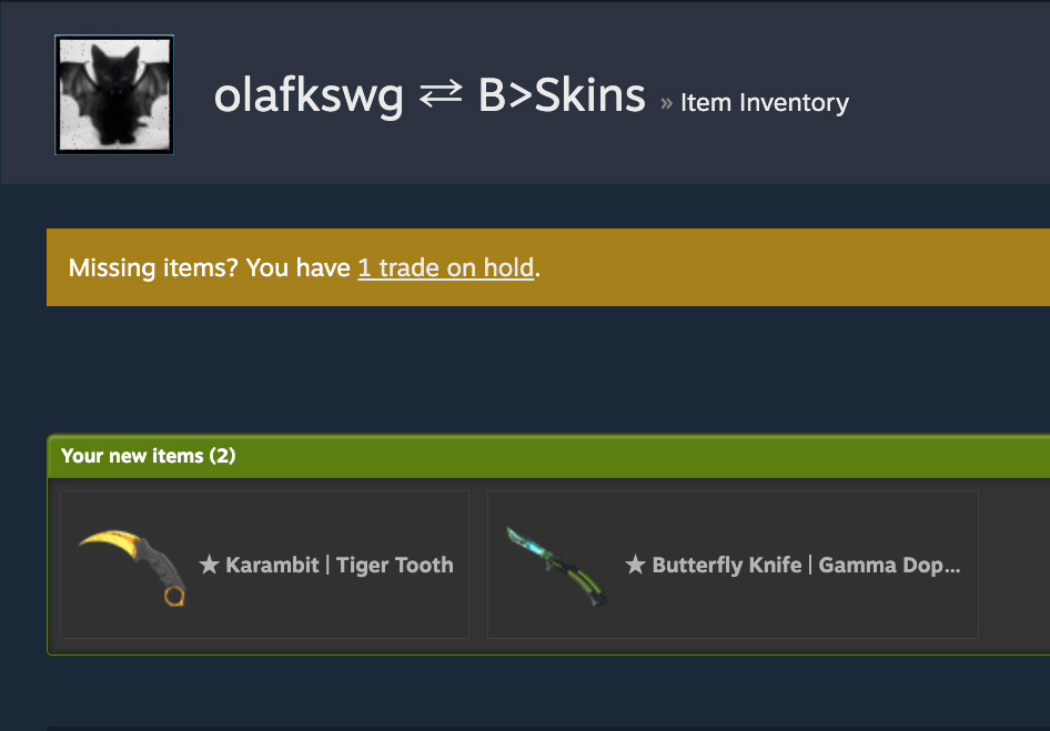 olafkswg - Buying Skins 95% tweet media
