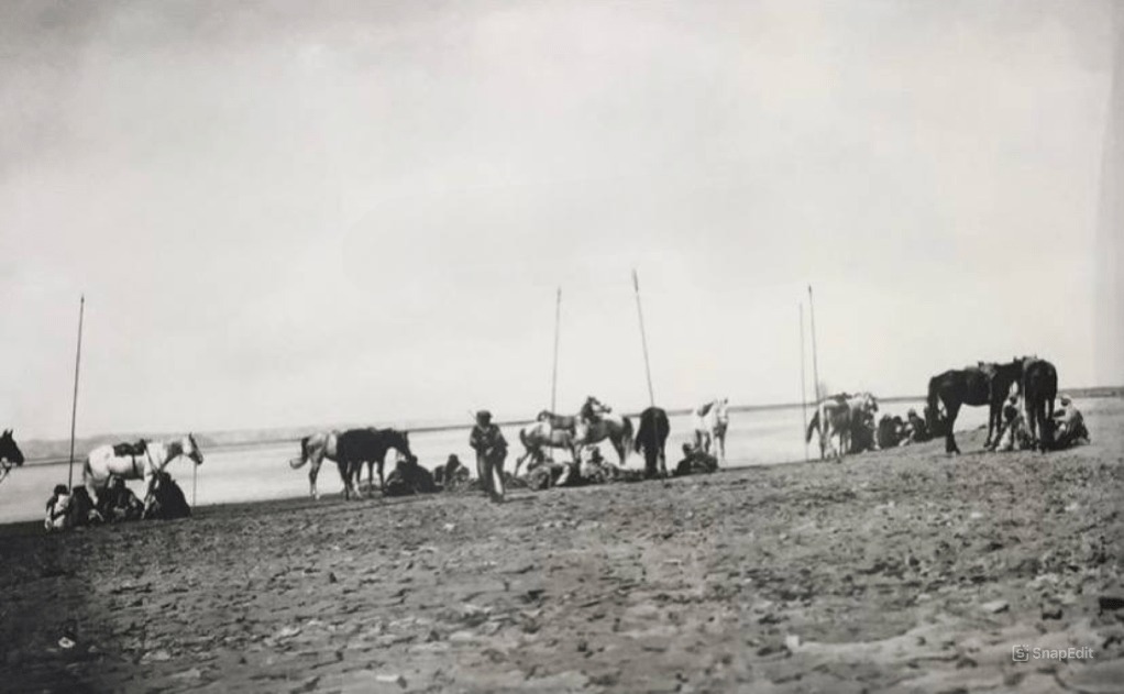 كونو شيما tweet media