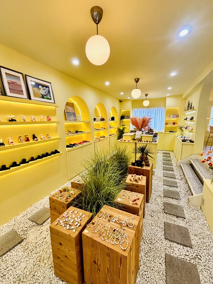 𝕤𝕒𝕔𝕔𝕙𝕠𓃥☽ tweet media