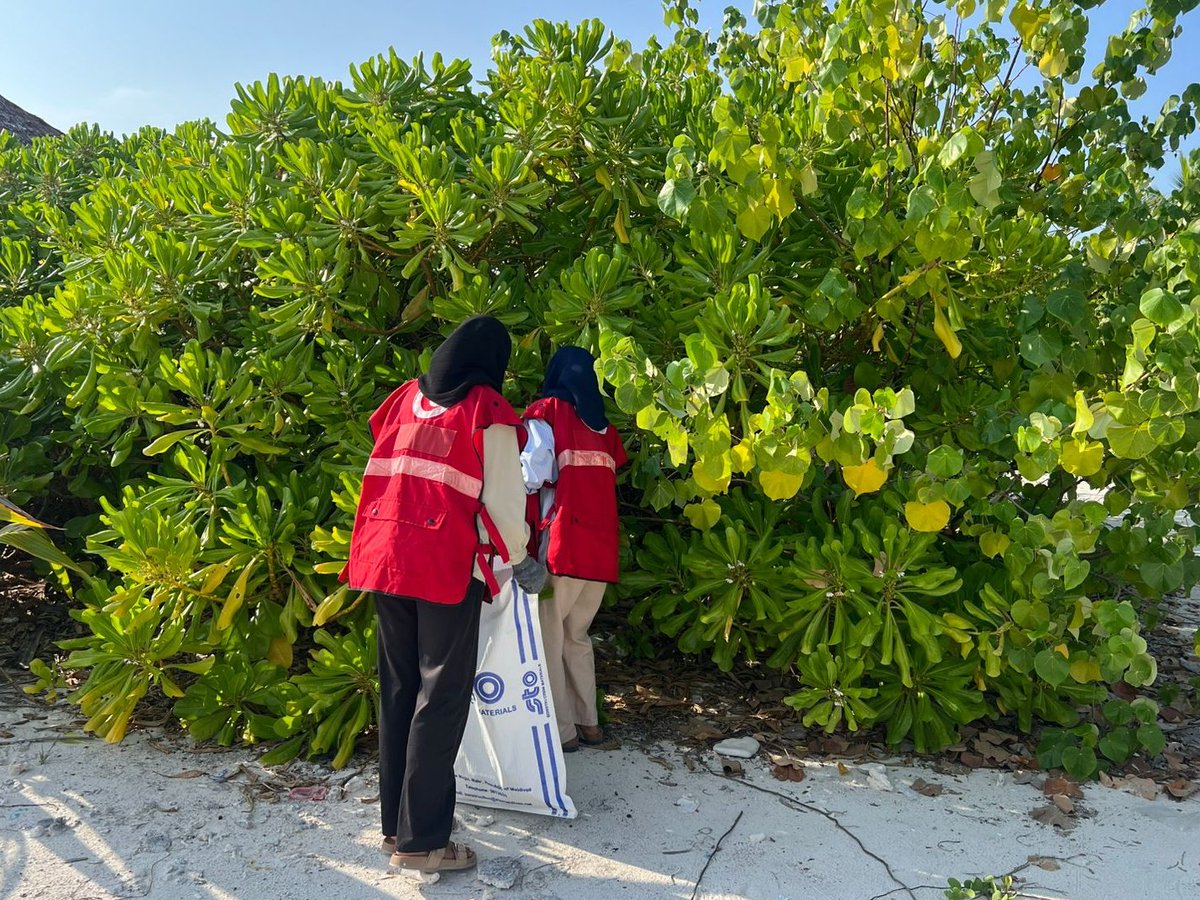 Maldivian Red Crescent tweet media