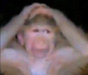 سَاشـا tweet media