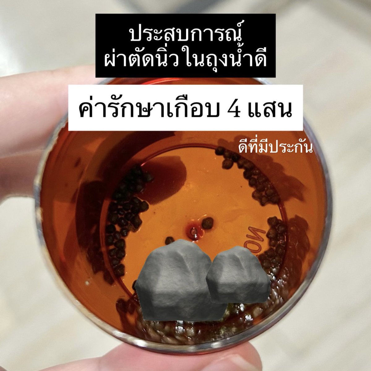 อาร์(นา)ฐา ♡ tweet media