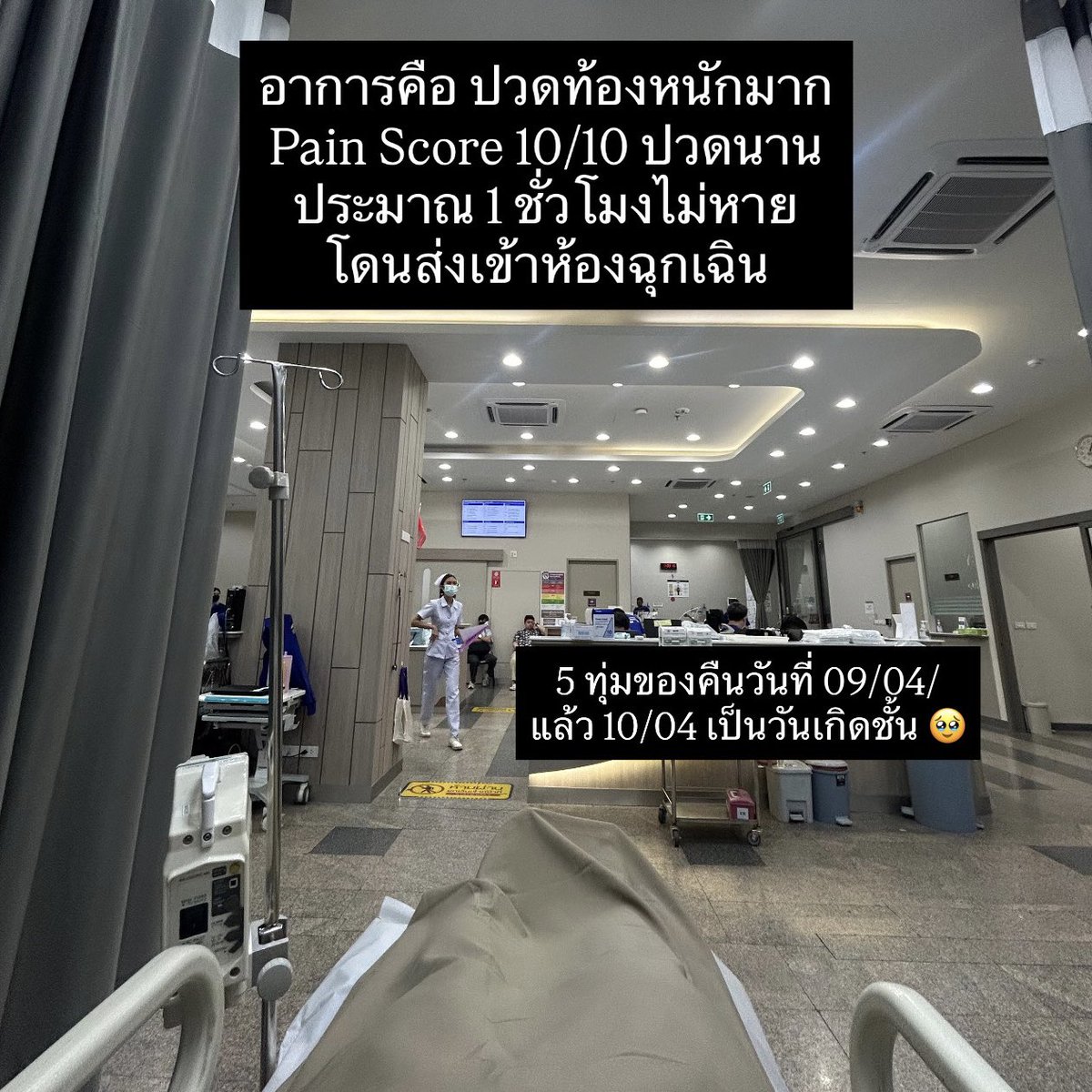 อาร์(นา)ฐา ♡ tweet media