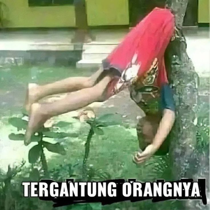 ? tweet media