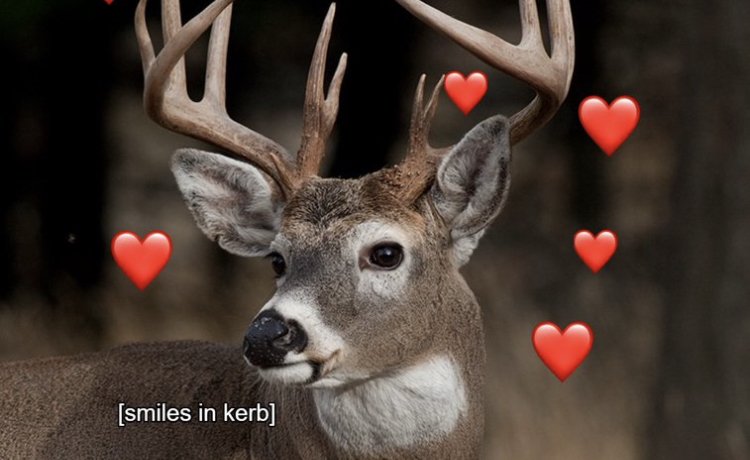 Tinydeerposts🏳️‍⚧️🦌 KandiDeerRaver tweet media