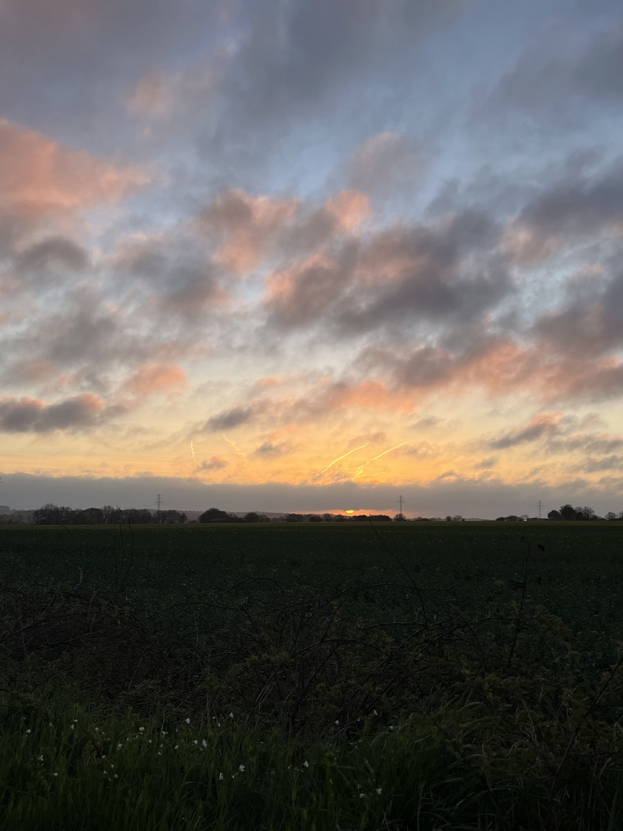 ShahidMAskerN's tweet image. Good morning friends ☀️☕️🙋🏻‍♂️
#Germany