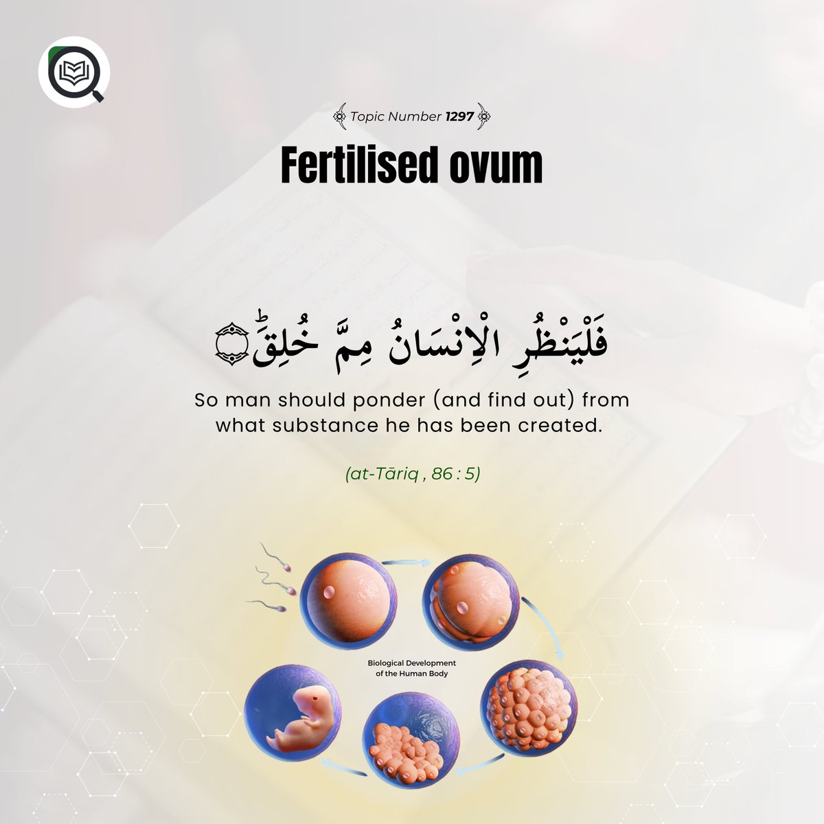 MinhajApp's tweet photo. Fertilised ovum

Chapter : Scientific Realities

Section : Biological Development of the Human Body

فَلْیَنْظُرِ الْاِنْسَانُ مِمَّ خُلِقَؕ .

(at-Tāriq , 86 : 5)

https://t.co/JHURLECYZQ
#minhajislamicencyclopedia #MinhajApp #DrMuhammadTahirulQadri https://t.co/mRl1xNU8ns