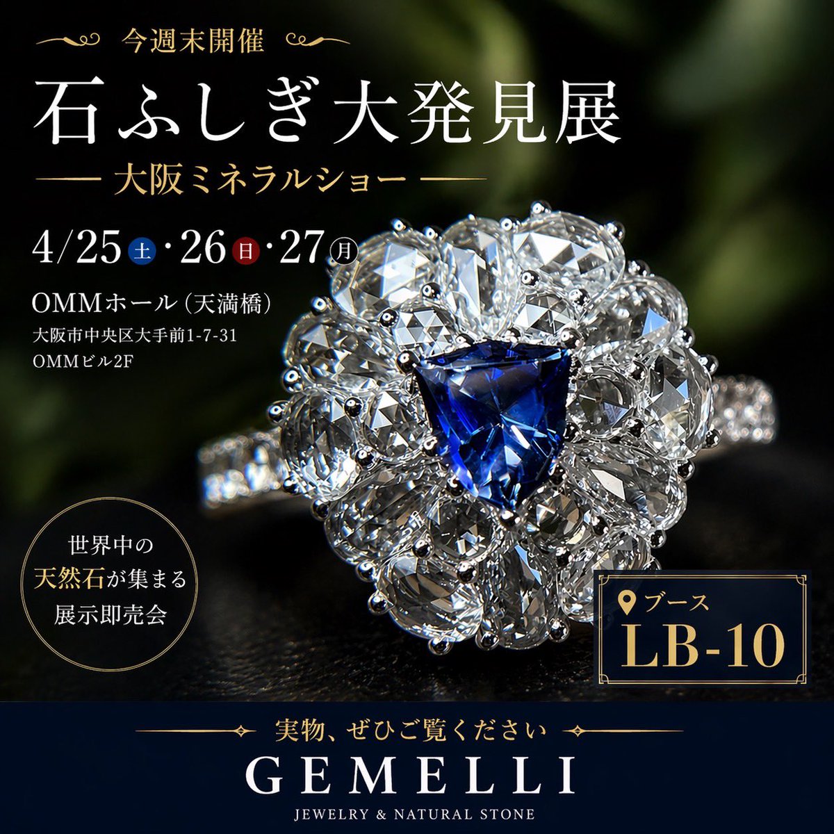 Gemelli ジェメリ tweet media