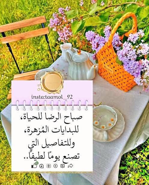 🇰🇼الشاعر /ذيب مطير ❤️305🇰🇼 tweet media