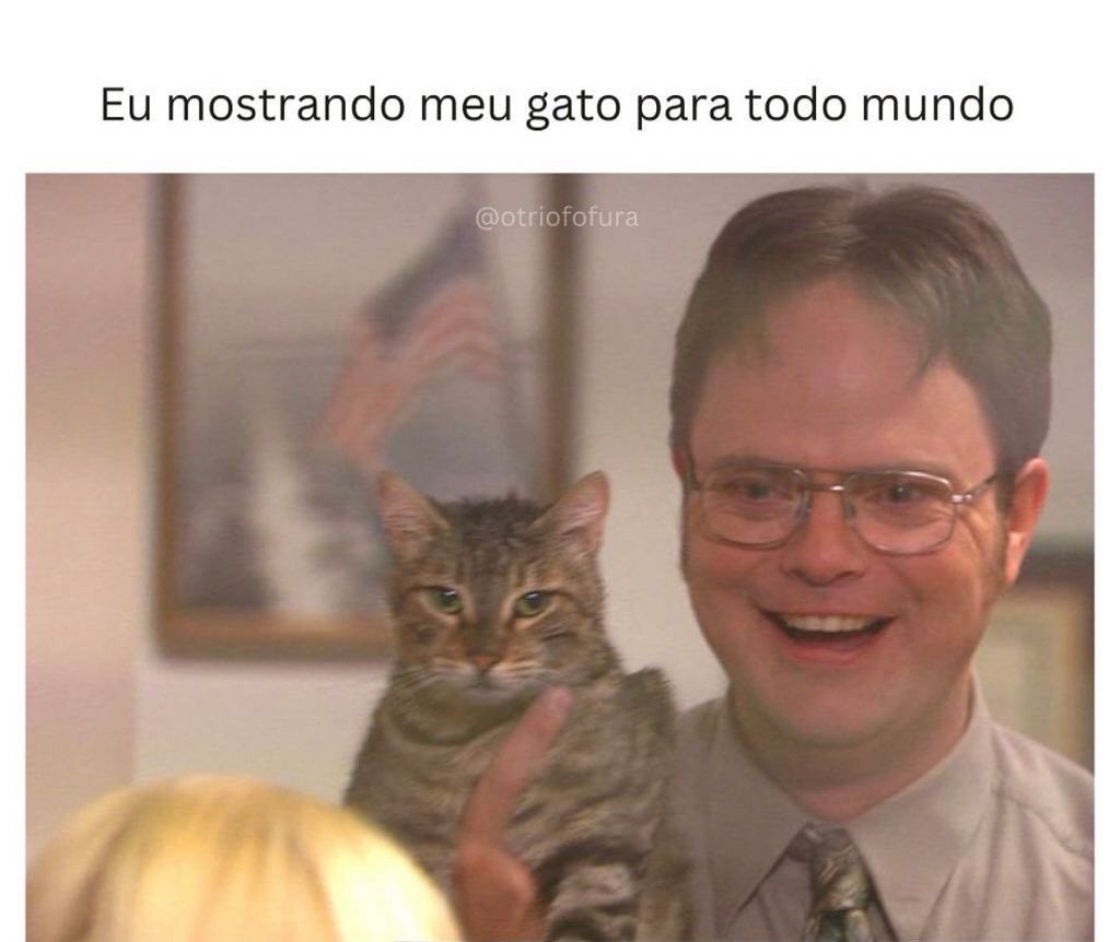gatos fazendo gatices tweet media