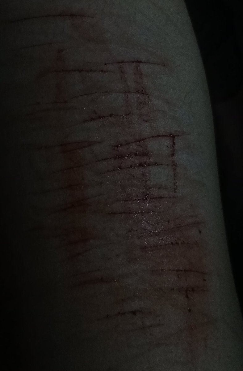 Jinx • edtwt tweet media