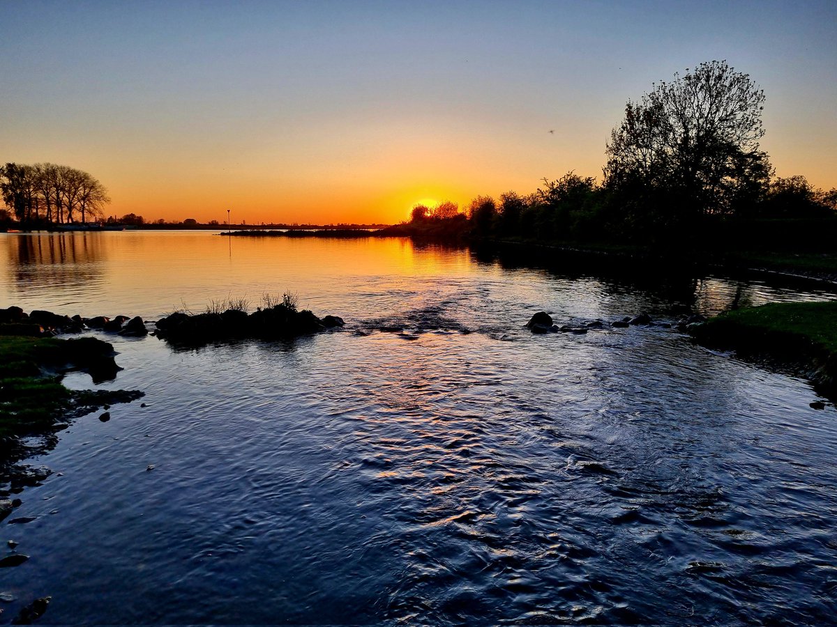 Tjark Dieterman tweet media