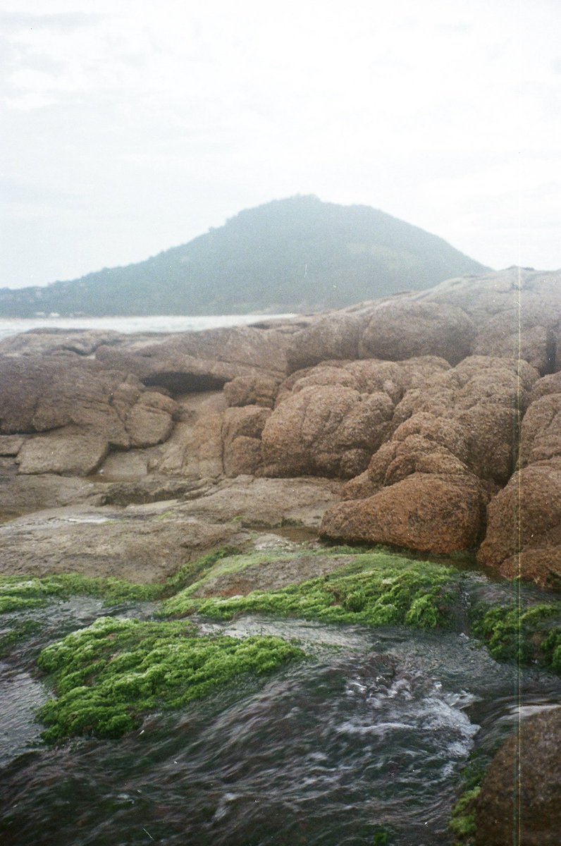 WOR$T CORA tweet media