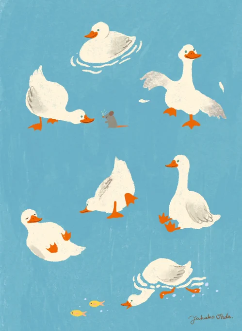 Duck