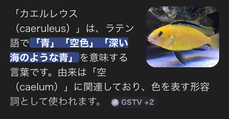 え⁉️黄色で名前の由来が空⁉️💫くんっぽくない⁉️