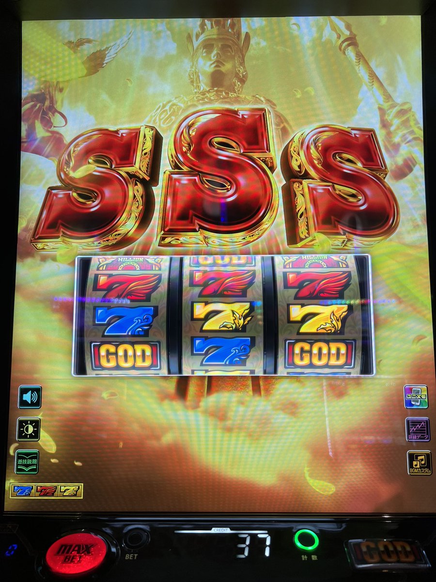 いぬも tweet media