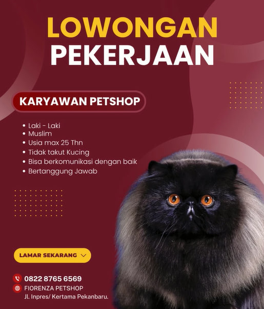 LowkerPKU tweet media