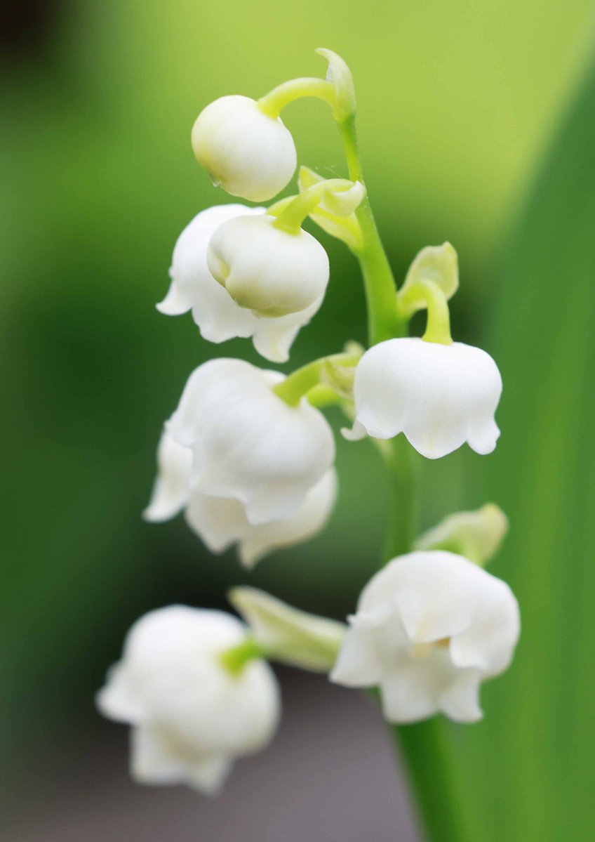 片柳弘史 tweet media